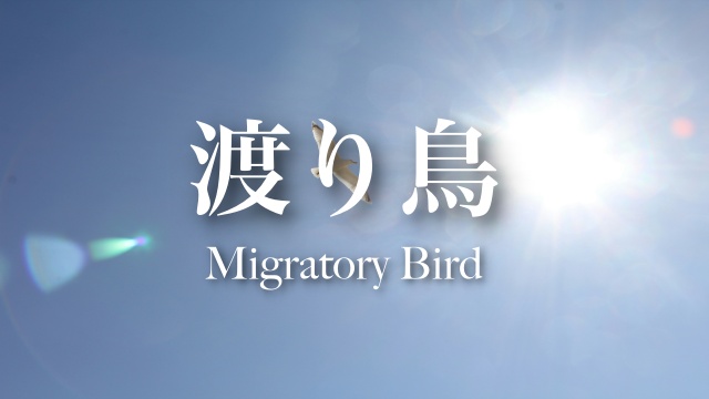 動画のサムネ