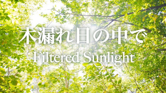 動画のサムネ